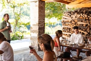 Do Porto: Excursão de vinhos em pequenos grupos no Vale do Douro