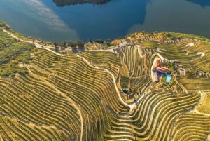 Do Porto: Excursão de vinhos em pequenos grupos no Vale do Douro