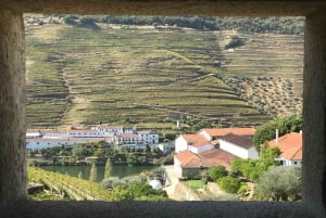 Do Porto: Excursão de vinhos em pequenos grupos no Vale do Douro