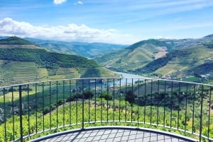 Do Porto: Excursão de vinhos em pequenos grupos no Vale do Douro