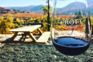 Do Porto: Excursão de vinhos em pequenos grupos no Vale do Douro