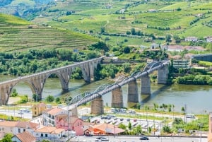 Do Porto: Excursão de vinhos em pequenos grupos no Vale do Douro