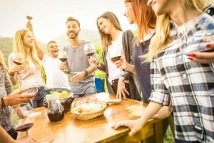 Do Porto: Excursão de vinhos em pequenos grupos no Vale do Douro