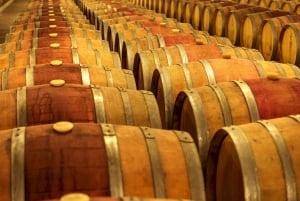 Do Porto: Excursão de vinhos em pequenos grupos no Vale do Douro