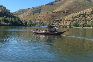 Do Porto: Excursão de vinhos em pequenos grupos no Vale do Douro