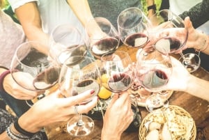 Do Porto: Excursão de vinhos em pequenos grupos no Vale do Douro
