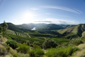 Do Porto: Excursão de vinhos em pequenos grupos no Vale do Douro