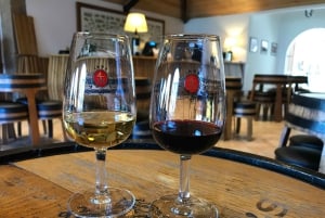 Do Porto: Excursão de vinhos em pequenos grupos no Vale do Douro