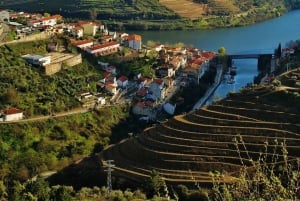 Do Porto: Excursão de vinhos em pequenos grupos no Vale do Douro
