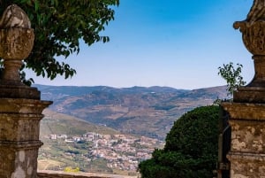 Do Porto: Excursão de vinhos em pequenos grupos no Vale do Douro