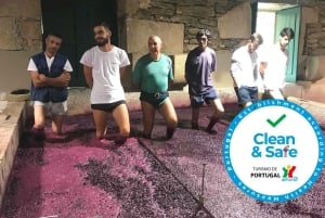 Från Porto: Privat tur i Dourodalen med kryssning och vin