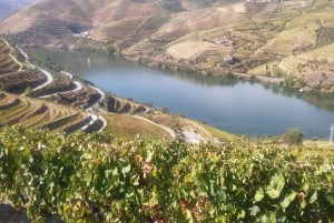 Från Porto: Privat tur i Dourodalen med kryssning och vin