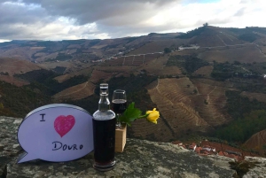 Från Porto: Privat tur i Dourodalen med kryssning och vin
