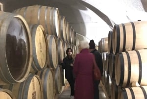 Från Porto: Privat tur i Dourodalen med kryssning och vin