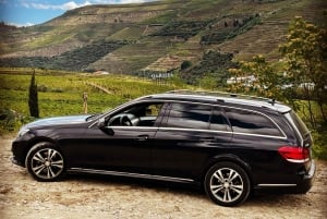 Från Porto: Privat tur i Dourodalen med kryssning och vin