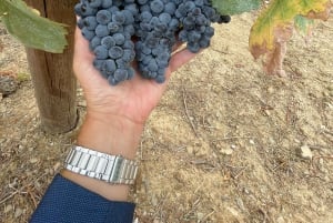 Från Porto: Privat tur i Dourodalen med kryssning och vin