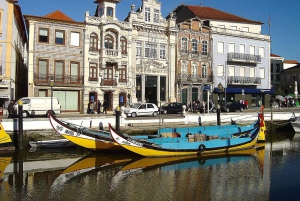 Von Porto Private Tour Halbtagestour in Aveiro und Costa Nova