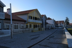 Von Porto Private Tour Halbtagestour in Aveiro und Costa Nova