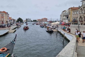 Von Porto Private Tour Halbtagestour in Aveiro und Costa Nova