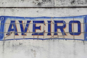 Von Porto Private Tour Halbtagestour in Aveiro und Costa Nova