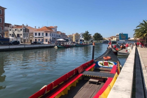 Von Porto Private Tour Halbtagestour in Aveiro und Costa Nova