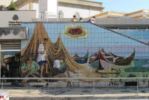 Von Porto Private Tour Halbtagestour in Aveiro und Costa Nova