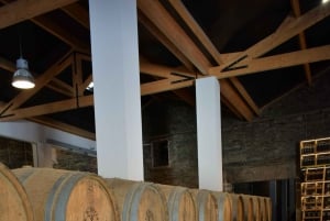 Visite privée de Porto avec 2 dégustations, bateau et déjeuner