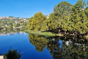 Visite privée de Porto avec 2 dégustations, bateau et déjeuner