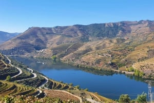 Visite privée de Porto avec 2 dégustations, bateau et déjeuner