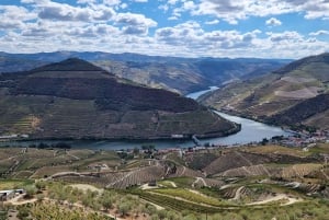Visite privée de Porto avec 2 dégustations, bateau et déjeuner