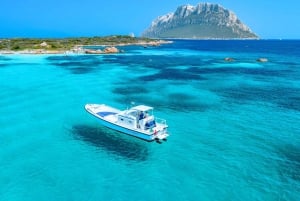 Från Porto San Paolo: båttur till Tavolara