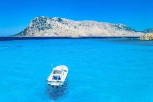 Från Porto San Paolo: båttur till Tavolara