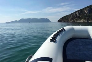 Från Porto San Paolo: båttur till Tavolara