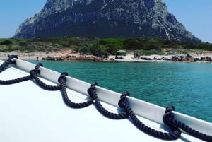 Från Porto San Paolo: båttur till Tavolara