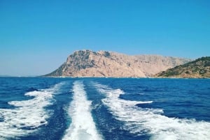 Från Porto San Paolo: båttur till Tavolara