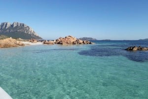 Från Porto San Paolo: båttur till Tavolara