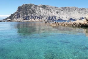 Från Porto San Paolo: båttur till Tavolara