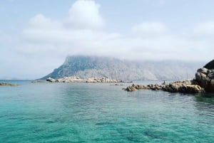 Från Porto San Paolo: båttur till Tavolara