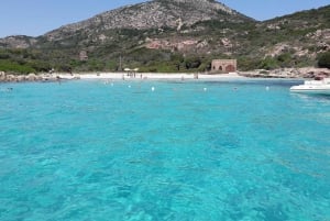 Från Porto San Paolo: båttur till Tavolara