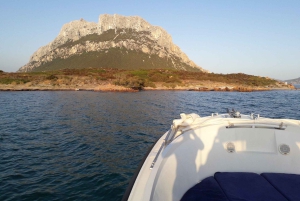 Från Porto San Paolo: båttur till Tavolara