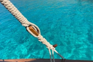 Från Porto San Paolo: Halvdagsutflykt Tavolara & Molara