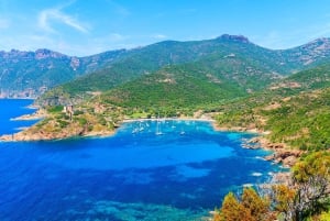 Do Porto: Passeio de barco por Scandola e Girolata
