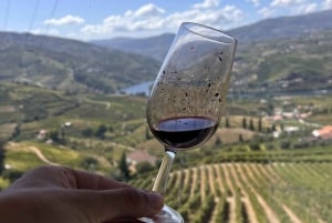 Fra Porto: Smaksprøver på 2 vingårder, lunsj tilberedt av kokk og båttur