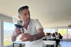 Fra Porto: Smaksprøver på 2 vingårder, lunsj tilberedt av kokk og båttur