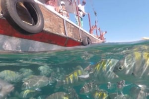 Da Rio de Janeiro: Escursione di un giorno a Ilha Grande