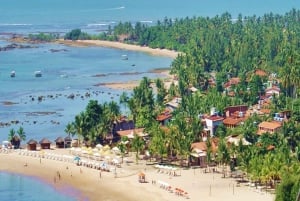 From Salvador: Morro de São Paulo Paradise Island Daytrip