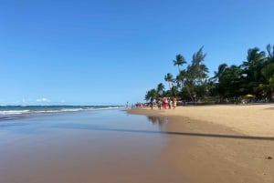 From Salvador: Morro de São Paulo Paradise Island Daytrip