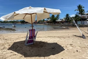 From Salvador: Morro de São Paulo Paradise Island Daytrip