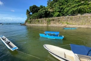 From Salvador: Morro de São Paulo Paradise Island Daytrip