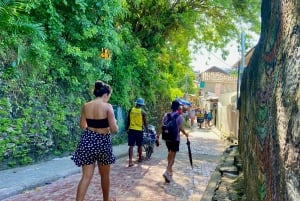 From Salvador: Morro de São Paulo Paradise Island Daytrip